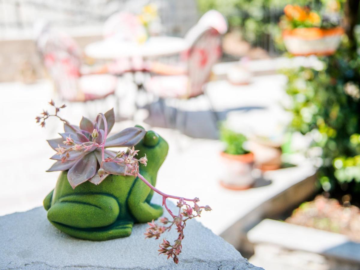 Green Home Apartments コトル エクステリア 写真